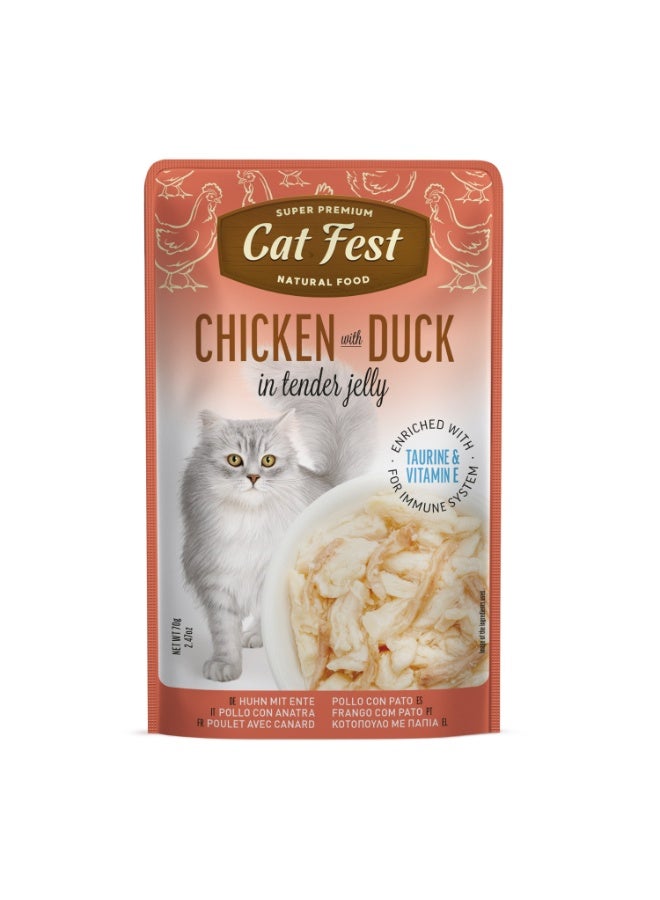 Cat Fest Chicken With Duck In Tender Jelly For Cats 70g -12pcs - Image 5