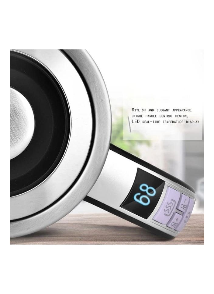 Multi-temperature electric kettle with filter