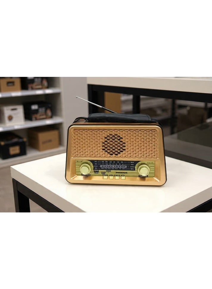 RX-BT1008 Rechargeable Radio with Bluetooth