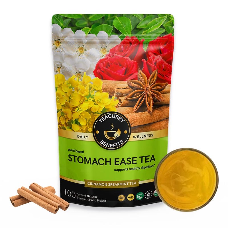TEACURRY Digestion Tea - 50 Gram / 25 Cups | Helps To Improves Digestive Health, Indigestion | Herbal Tea For Digestion | 100% Natural | Stomach Ease Tea - Image 1