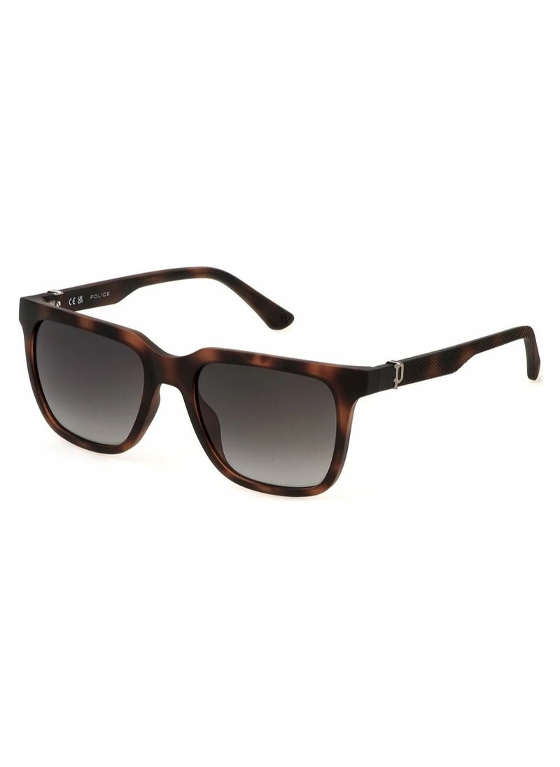 POLICE Police SPLN34 Unisex Sunglasses  - Image 1