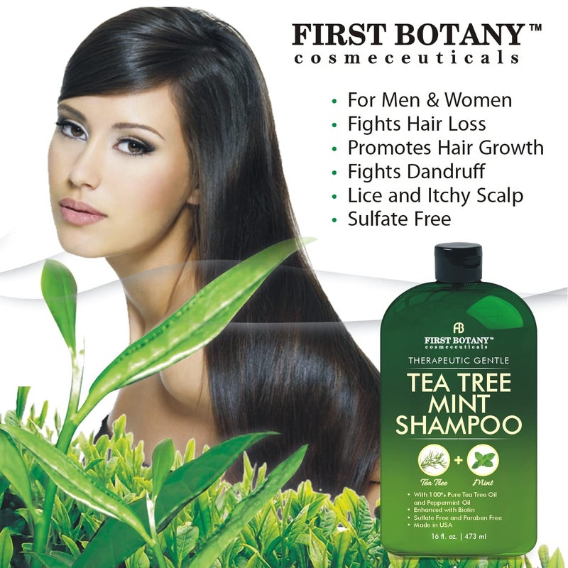 First Botany, Tea Tree Oil Shampoo 16 fl oz - Anti Dandruff Shampoo Natural Oil cleanser For Dry Itchy & Flaky Scalp - Sulfate Free Paraben Free Cleanser - Prevents Head Lice & Thinning - Image 5