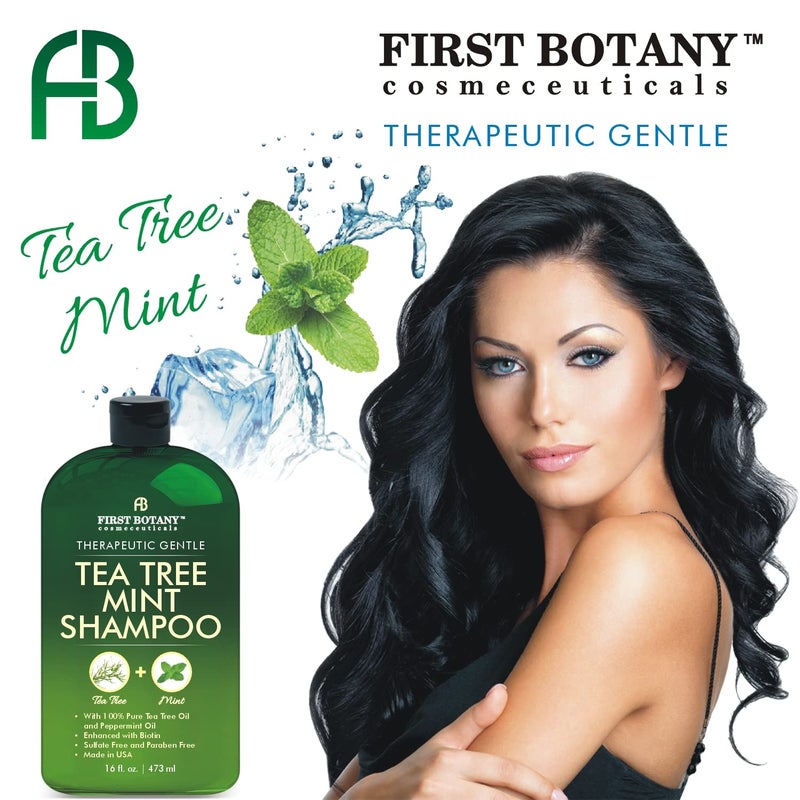 First Botany, Tea Tree Oil Shampoo 16 fl oz - Anti Dandruff Shampoo Natural Oil cleanser For Dry Itchy & Flaky Scalp - Sulfate Free Paraben Free Cleanser - Prevents Head Lice & Thinning - Image 2