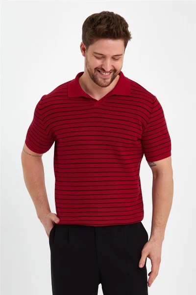 Cool Tarz Cool Style Claret Red Men's Polo Collar Striped Knitwear T-SHIRT-TRZ19124R04S