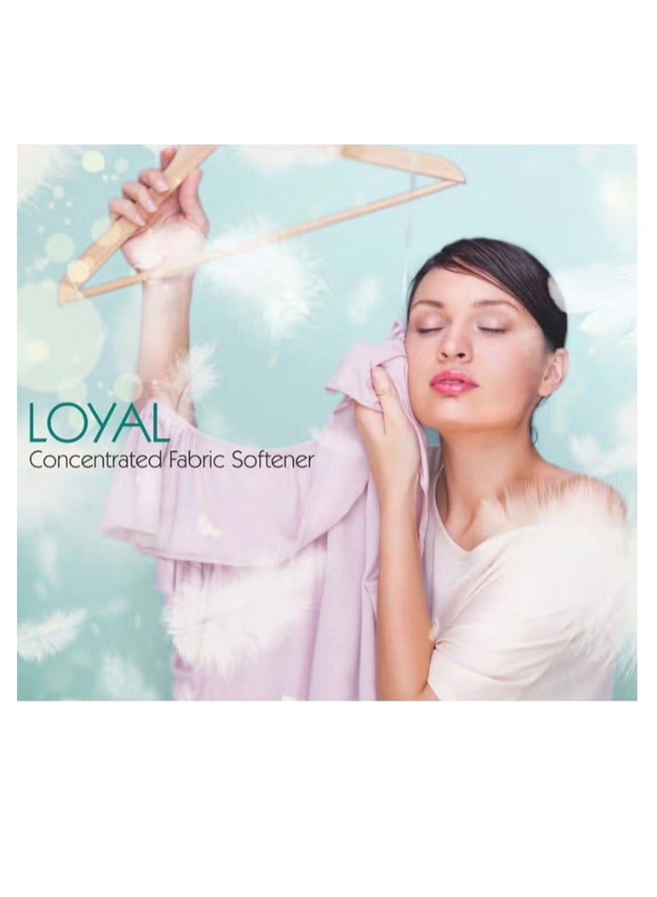 loyal Fabric Softener Freshener Concentrated Purple Passion 30 Washes 2x750ml - Image 3