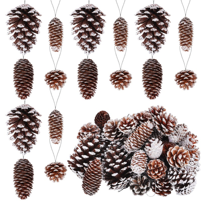 Fovths 42 Pieces Christmas Snow White Pine Cones Ornaments Natural Rustic Pine Cones Bulk Xmas Tree Hanging Decoration for Christmas Tree Gift Home Party DIY Assorted Sizes