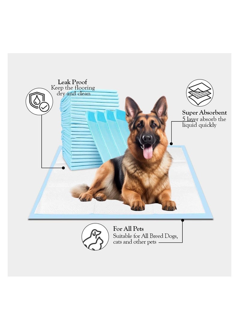 أن ان سي بيتس وسادات تدريب الكلاب مع 5 طبقات عالية الامتصاص، وسادات بول سريعة الجفاف مانعة للتسرب، وسادات تدريب يمكن التخلص منها لجميع السلالات ذات الأحجام المختلفة 60 × 90 سم XL (20 قطعة) أزرق - Image 5