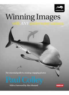 Winning Images with Any Underwater Camera: The Essential Guide to Creating Engaging Photos  - Image 1