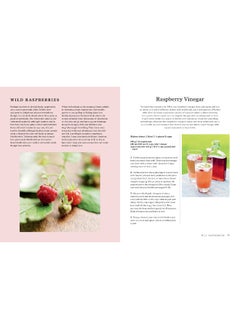 The Hedgerow Cookbook: Delicious Recipes for Foraged Food  - Image 3
