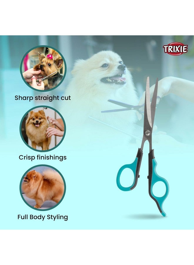 تريكسي مقص تريكسي المستقيم، مقص تشذيب للكلاب والقطط، مصنوع من الفولاذ المقاوم للصدأ، ومقبض مطاطي غير قابل للانزلاق لسهولة الإمساك، تصميم ذو طرف مستدير يجعله آمنًا للاستخدام حول منطقة الوجه - 18 سم - Image 5