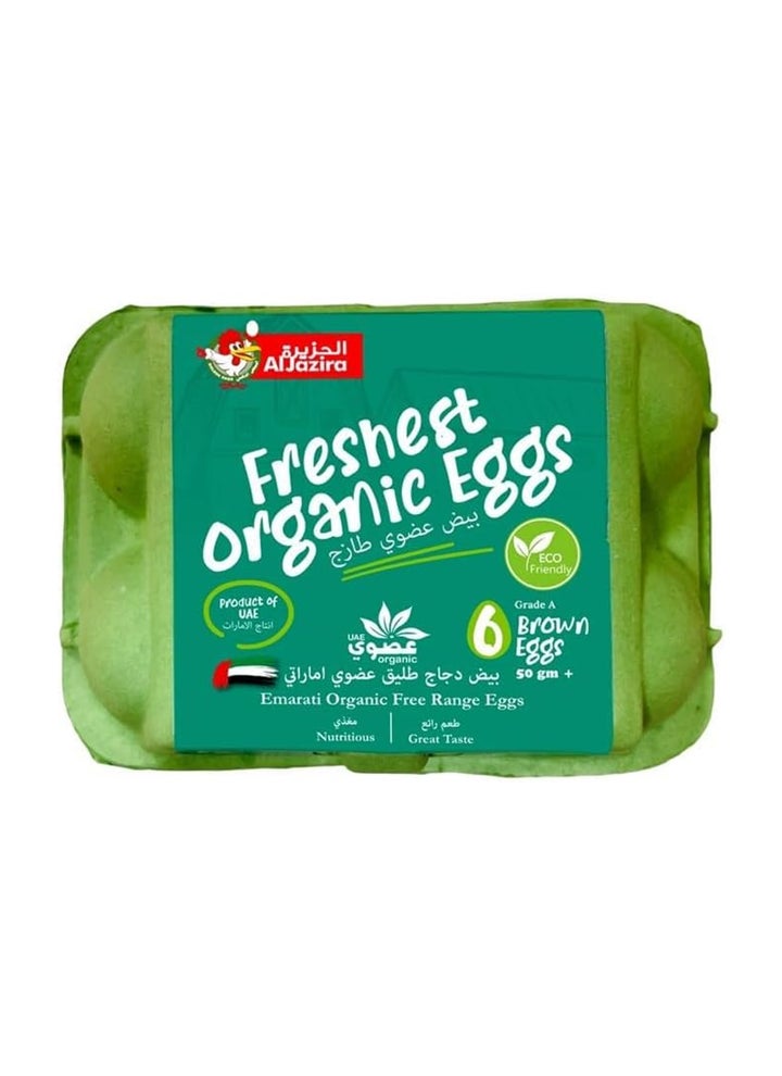Brown Organic Free Range Golden Eggs