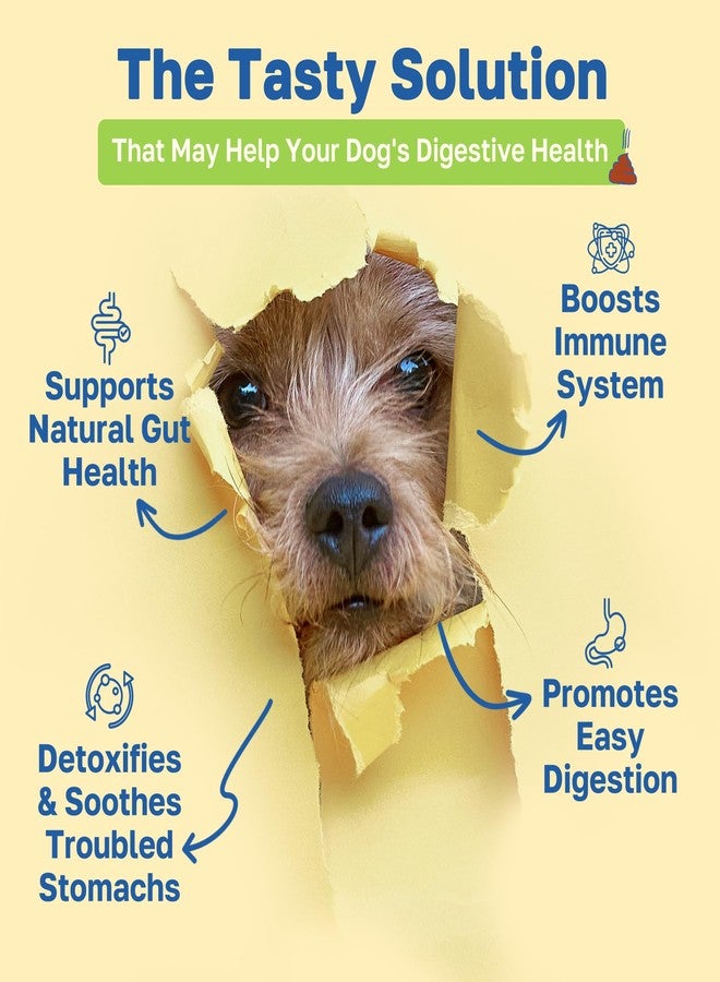 Happy Paws Digestive Supplement for Dogs, Supports Gut Health for Dogs of All Breeds & Ages, Made with Probiotics, Enzyme Blend & Ginger Root, Pumpkin Flavor, Organic, Non GMO, 100 Soft Chews - Image 2