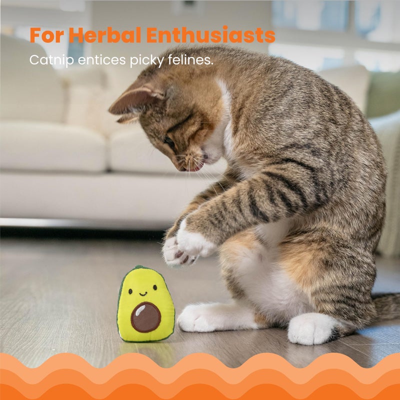 Catstages Lil' Avocato Cat Toy, Interactive Plush Avocado with Catnip, Kicker & Chew Toy for Indoor Cats, Encourages Active Play, Mental Stimulation, Dental Health, and Solo Fun, Green - Image 3