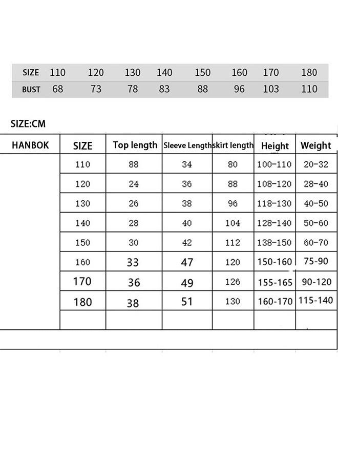 general Gril KoreanTraditional Long Sleeve Hanbok Dress Cosplay Costume - Image 2