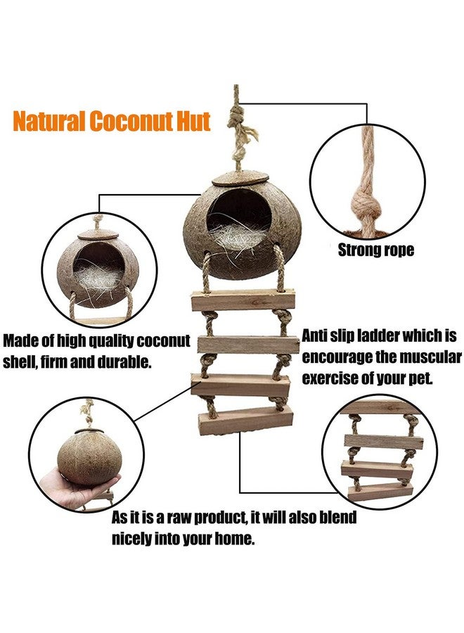 Hamiledyi Crested Gecko Coco Hut Natural Reptile Coconut Hideouts Lizard Water Food Bowls Climbing Porch Hiding Sleeping Breeding Pad Jungle Vine Flexible Reptile Leaves For Bearded Dragon 6Pcs - Image 3