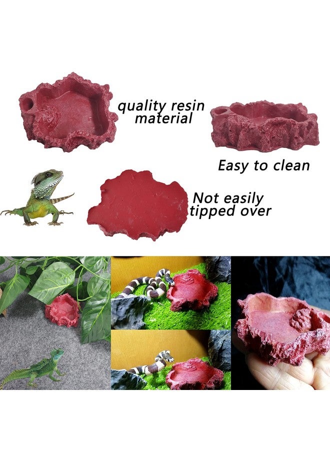 Hamiledyi Crested Gecko Coco Hut Natural Reptile Coconut Hideouts Lizard Water Food Bowls Climbing Porch Hiding Sleeping Breeding Pad Jungle Vine Flexible Reptile Leaves For Bearded Dragon 6Pcs - Image 5
