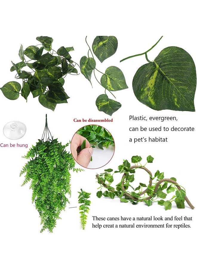 Hamiledyi Crested Gecko Coco Hut Natural Reptile Coconut Hideouts Lizard Water Food Bowls Climbing Porch Hiding Sleeping Breeding Pad Jungle Vine Flexible Reptile Leaves For Bearded Dragon 6Pcs - Image 4