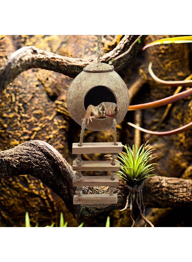 Hamiledyi Crested Gecko Coco Hut Natural Reptile Coconut Hideouts Lizard Water Food Bowls Climbing Porch Hiding Sleeping Breeding Pad Jungle Vine Flexible Reptile Leaves For Bearded Dragon 6Pcs - Image 2