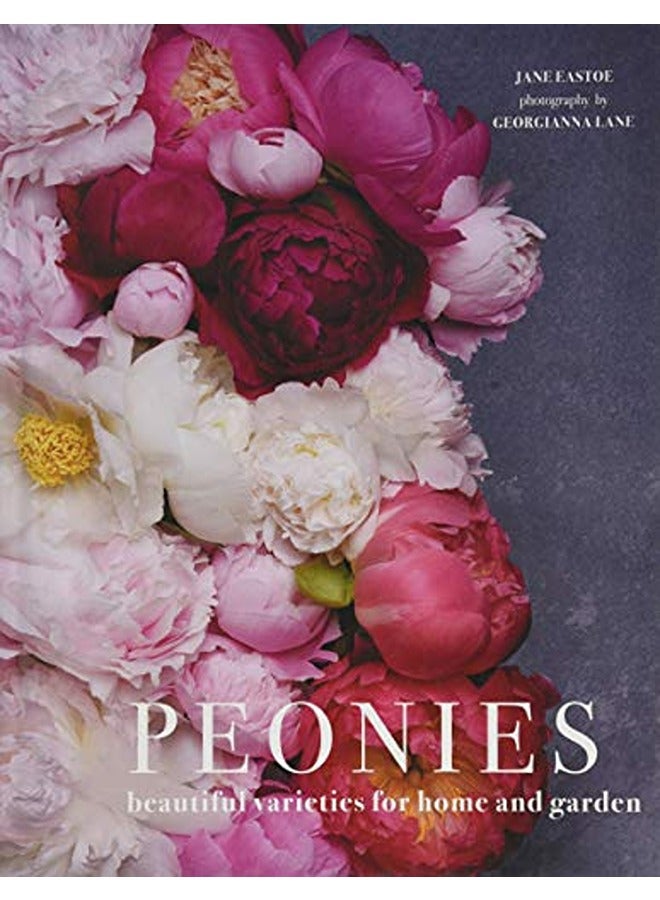 Peonies 