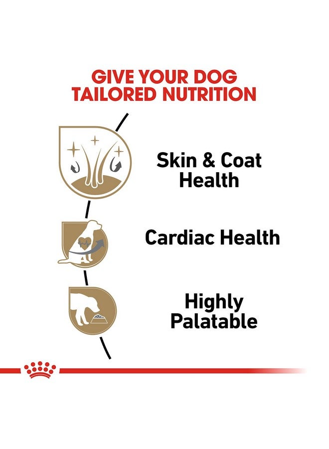 رويال كانين طعام رطب للكلاب من رويال كانين شيه تزو، مخصص لسلالات الكلاب البالغة، عبوة 3 أونصة (عبوة من 6 قطع) - Image 4