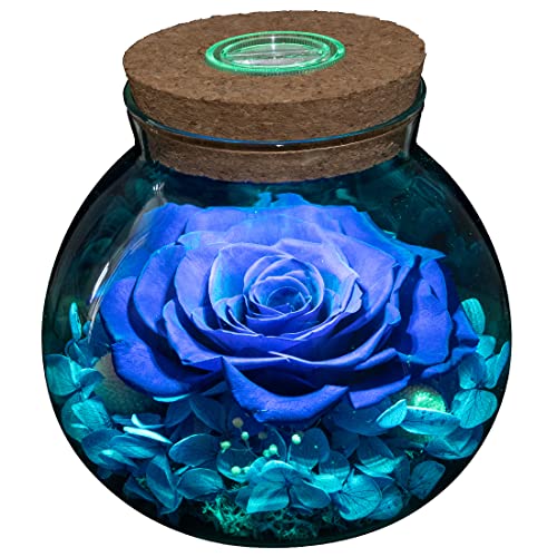 roliys Preserved Real Roses with Colorful Mood Light Wishing Bottle Eternal RoseNever Withered Flowers Table DecorChristmas Anniversary Valentines Blue 43inch 1pcs