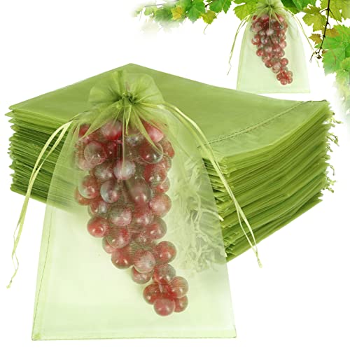HRX Package 100pcs Fruit Protection Bags 8x12 inch, Green Netting Cover Bags Drawstring Mesh Fruit Protectors Pest Barrier for Grapes Mango Trees Veggies Garden - Image 1