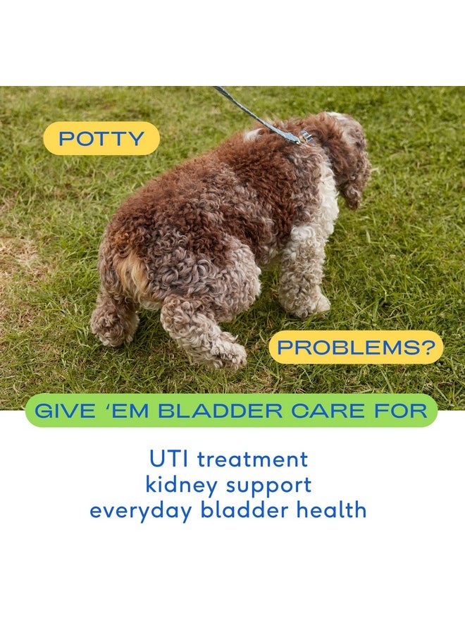 native pet - Dog Uti Treatment  Chicken Chews For Dog & Cat Uti, Incl. Cranberry  Dog Bladder Control For Urinary Tract Infection  Uti Medicine For Dogs  Dog Uti Treatment  60 Bladder Bites Chews - Image 1