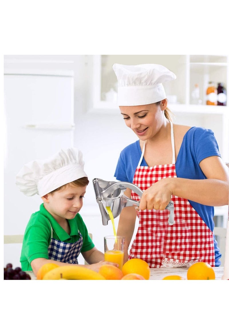 Manual Fruit Juicer Press Lemon Squeezer Premium Quality Stainless Steel Alloy Hand Juicer Tool - Image 1