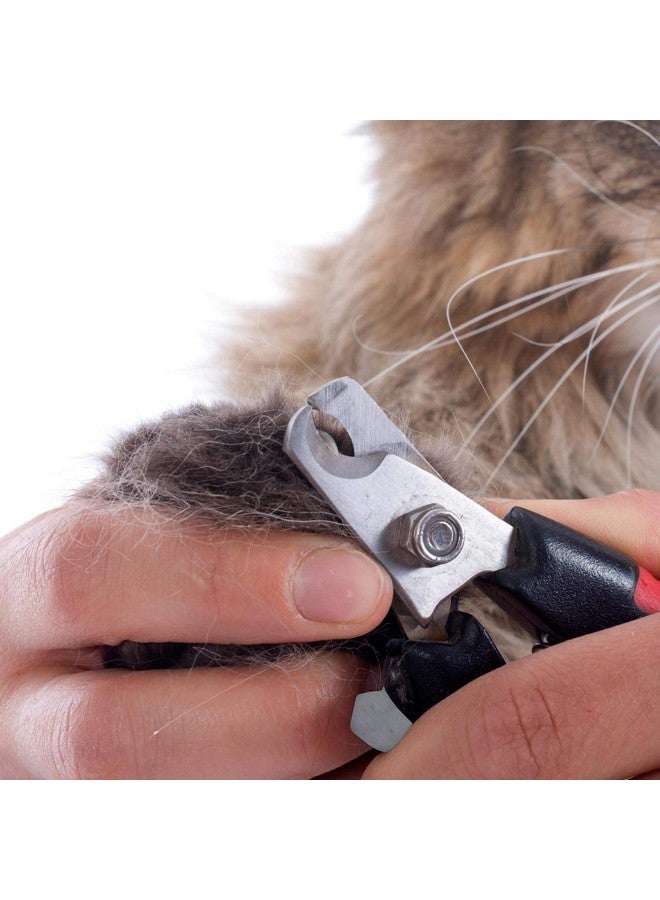 مقص أظافر مع مبرد، مجموعة أدوات احترافية قابلة للقفل مناسبة لجميع الحيوانات الصغيرة والكلاب والجراء والقطط الصغيرة (قد يختلف اللون) - Image 4