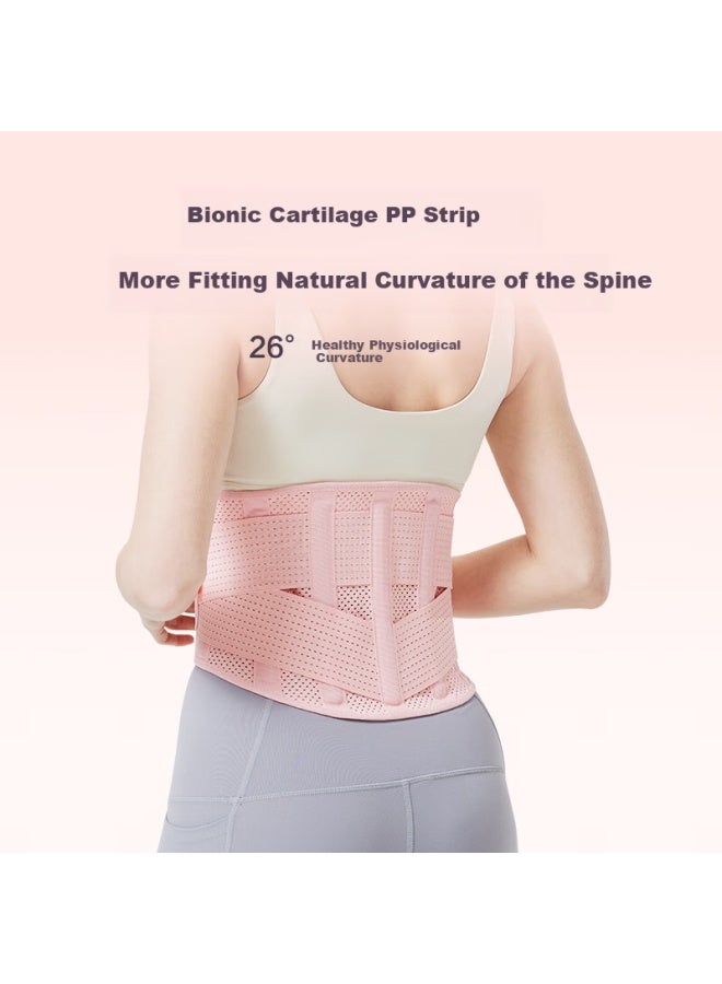 JD.com Jdjingzao Waist Support Belt For Women, Abdominal Compression Waist Trainer For Squats And Deadlifts, Lumbar Disc And Spine Protection, Waist Support Brace, Size M - Image 3