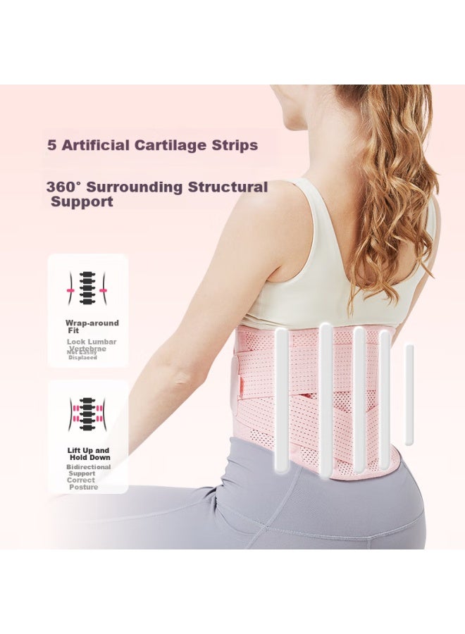 JD.com Jdjingzao Waist Support Belt For Women, Abdominal Compression Waist Trainer For Squats And Deadlifts, Lumbar Disc And Spine Protection, Waist Support Brace, Size M - Image 5