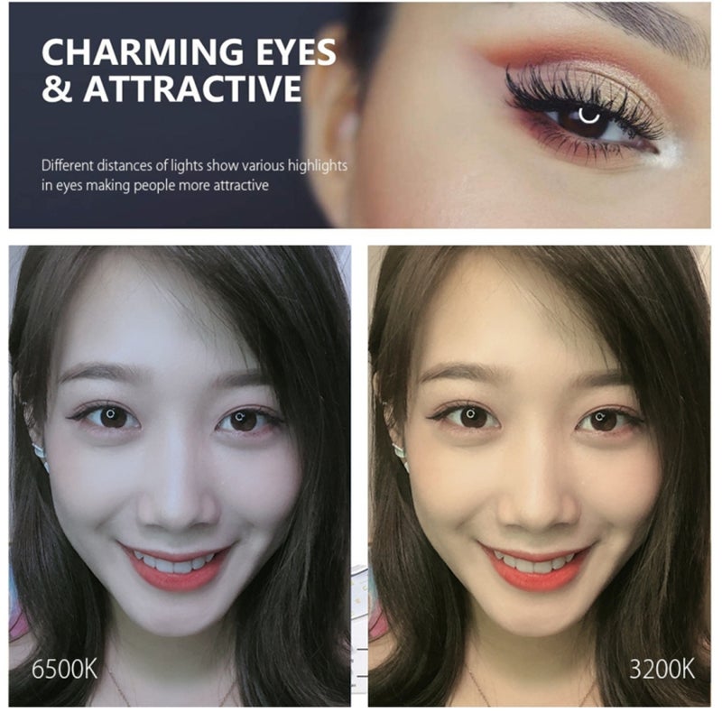 PULUZ Ring Light HandHeld Fill Light BT Selfie Stick Tripod Light for Live Broadcast Vlogging - Image 3