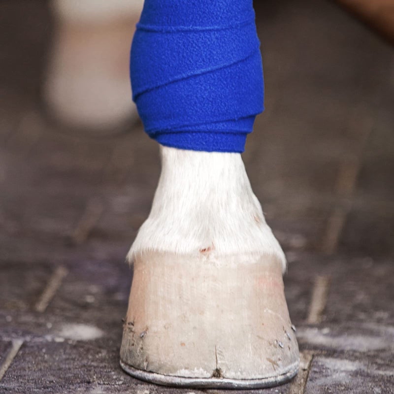 Juvale Cohesive Bandage Vet Wrap Rolls - Sprain & Strain Support Elastic Bandage & Vet Wrap for Dogs & Horses - Self-Adherent Dog Wound Care Tape - First Aid & Sports Tape - 12 Count, 4 in x 5 yd - Image 3