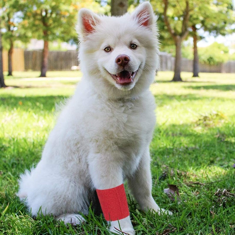 Juvale Cohesive Bandage Vet Wrap Rolls - Sprain & Strain Support Elastic Bandage & Vet Wrap for Dogs & Horses - Self-Adherent Dog Wound Care Tape - First Aid & Sports Tape - 12 Count, 4 in x 5 yd - Image 4