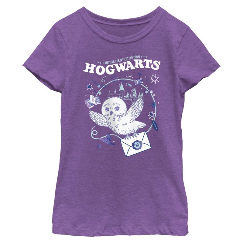 Harry Potter Girl's Hogwarts Messenger Owl T-Shirt, Pur Berry, Large