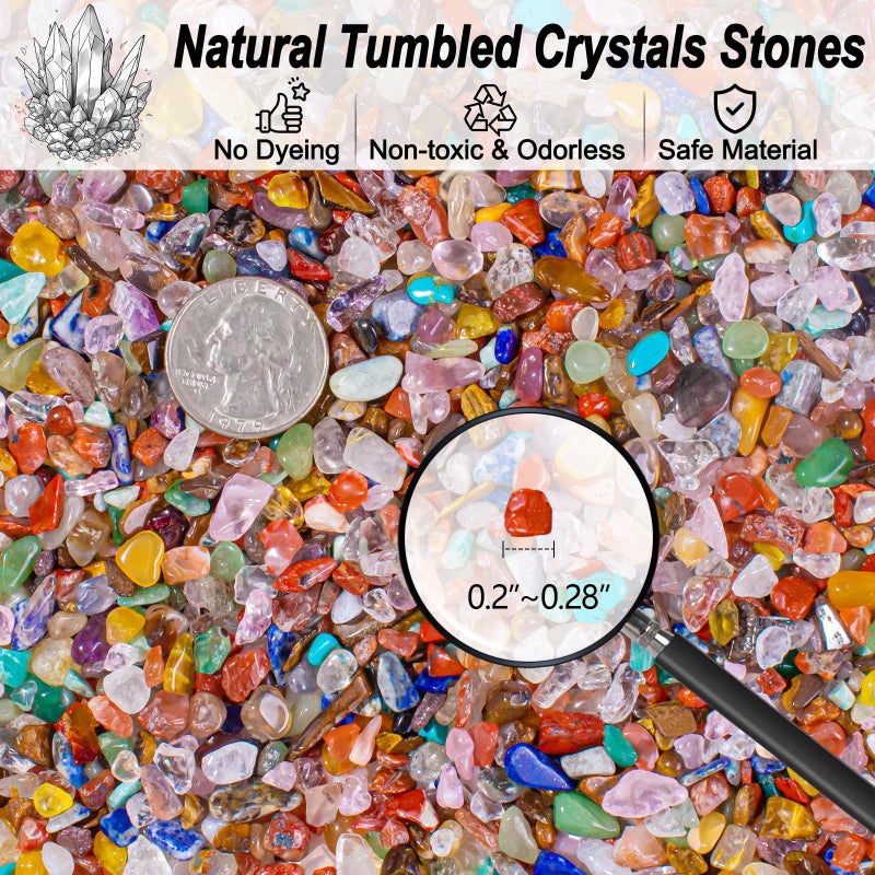 EZEELAI 0.5 Lb/230g Chakra Crystal Chips Bulk Quartz Rocks, Natural Tumbled Healing Crystal Chips Crushed Stones Irregular Shaped for Aquarium, Vase Fillers, Succulent Plants Decor - 5-7mm - Image 2