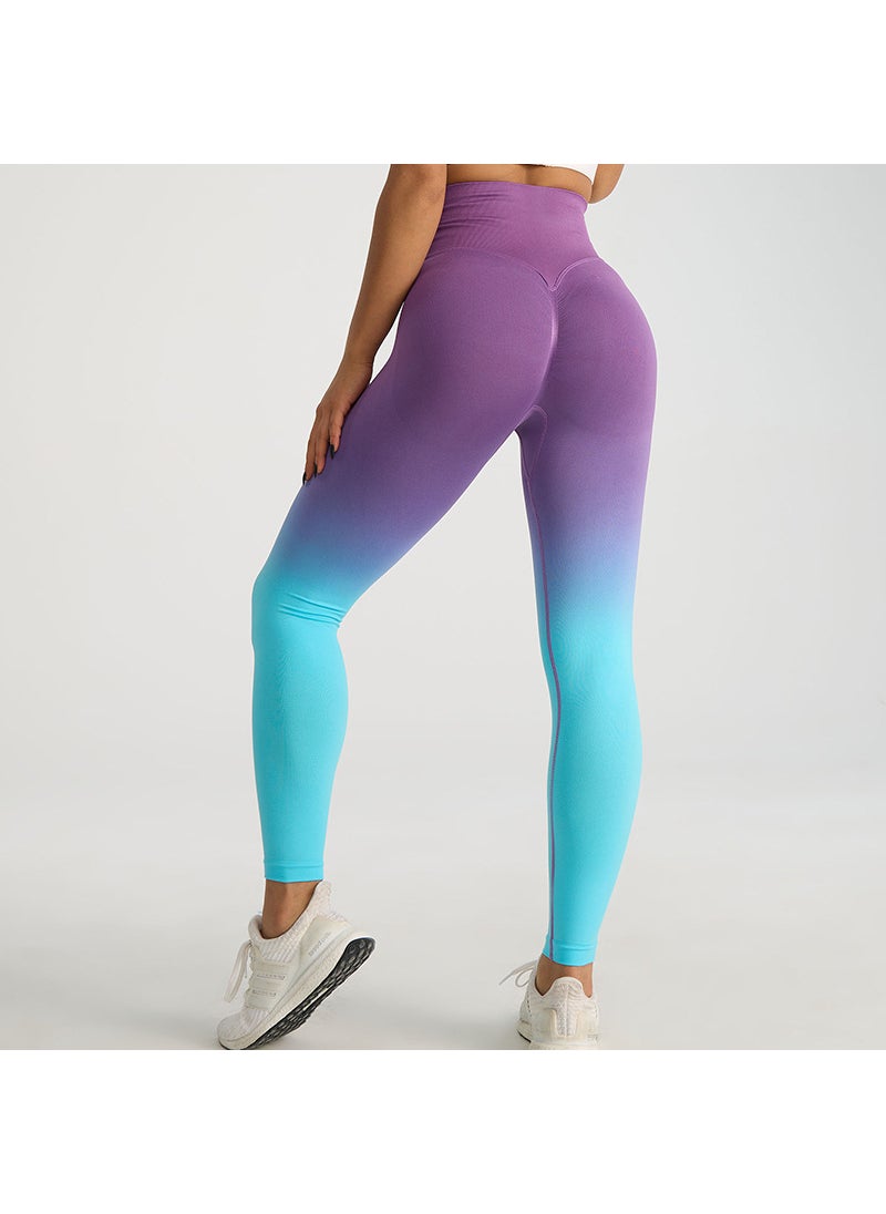 Generic - Autumn and Winter New High Waist Cycling Fitness Pants Hip-lifting Sports Tights Peach Hip Gradient Yoga Pants Trousers for Hair Black Blue - Image 1