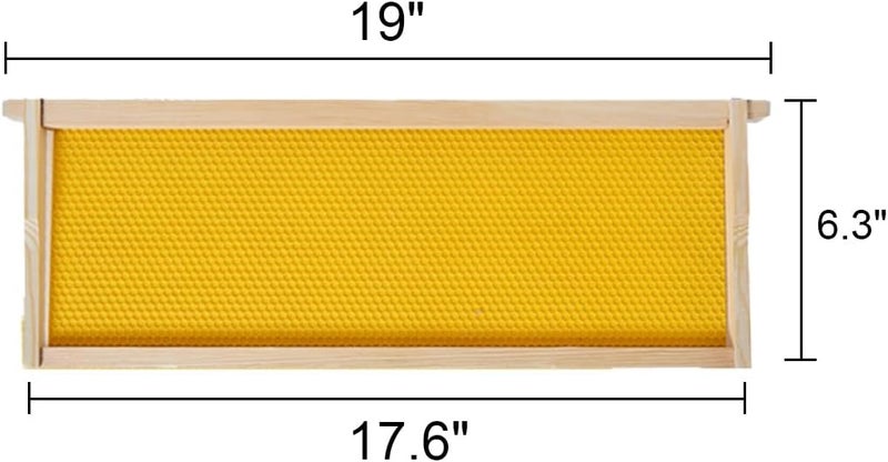 BeeCastle Medium Beehive Frames and Wax Foundations,10 Pack Honey Bee Frames with Wooden Bee Hive Frames and Beeswax Coated Foundations, 6-1/4-Inch (Yellow) - Image 3