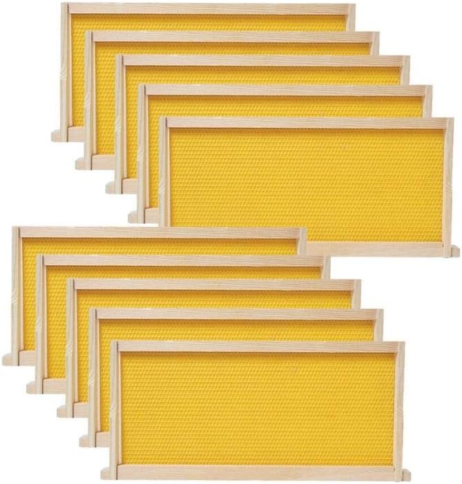BeeCastle Medium Beehive Frames and Wax Foundations,10 Pack Honey Bee Frames with Wooden Bee Hive Frames and Beeswax Coated Foundations, 6-1/4-Inch (Yellow) - Image 1