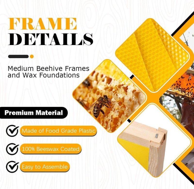 BeeCastle Medium Beehive Frames and Wax Foundations,10 Pack Honey Bee Frames with Wooden Bee Hive Frames and Beeswax Coated Foundations, 6-1/4-Inch (Yellow) - Image 2