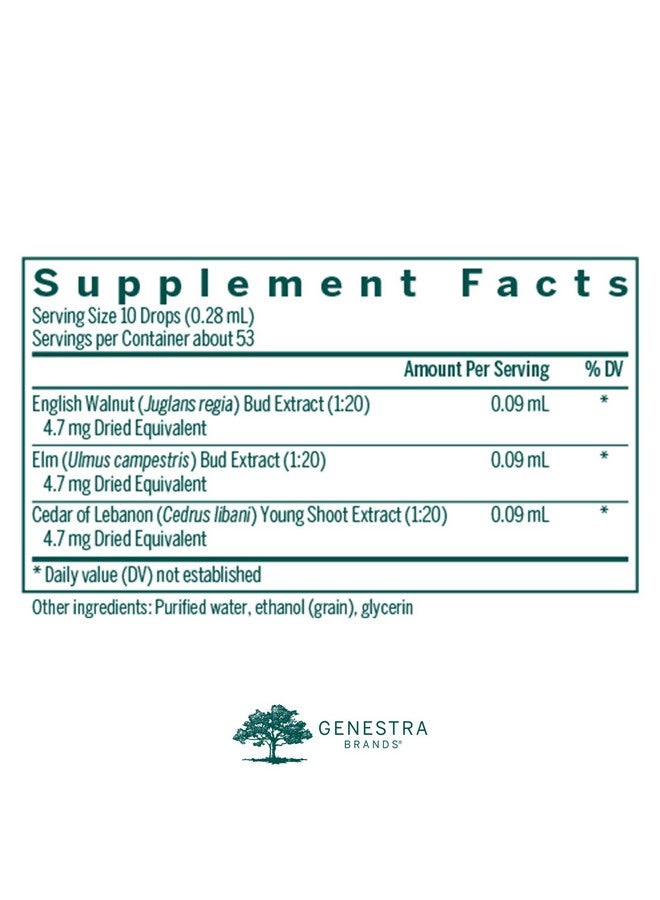 Genestra Brands Skngen ; English Walnut Elm And Cedar Of Lebanon Herbal Supplement ; 0.5 Fl. Oz. - Image 3