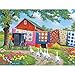 Bits and Pieces 500 Piece Jigsaw Puzzle for Adults Plain and Fancy Geese Farm Quilt Laundry Car Jigsaw Puzzle by Artist John Sloane Completed Puzzle Size 18 x 24 - Image 2