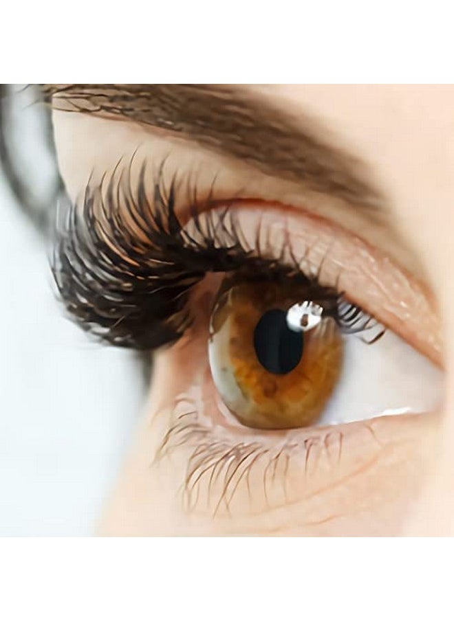IECILI - Individual Lashes Natural Cluster Lashes 240Pcs 9 14Mm Mixed Pack /12 Roots/D Curl /0.07Mm Thickness/Faux Mink Diy Premade Fans Eyelash Extensions (D Curl 10D Cluster Lashes) - Image 1
