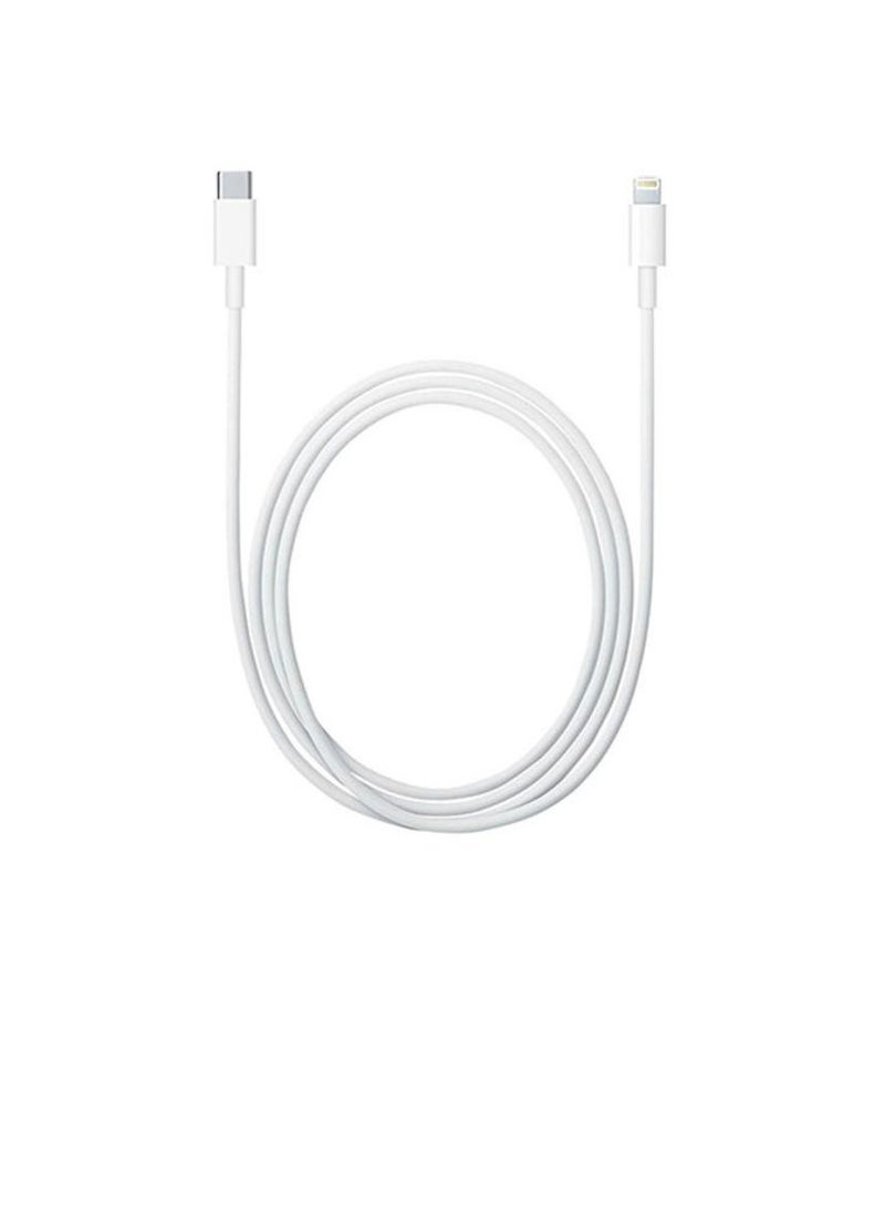 general iPhone PD charger cable - Image 2