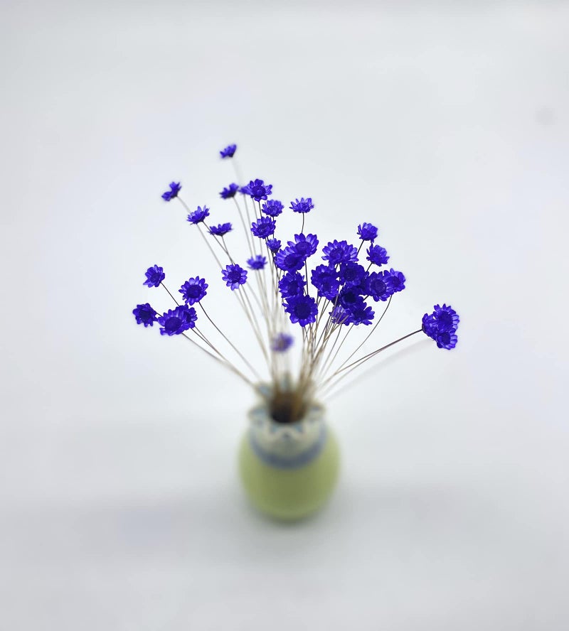 MLSG 100 Stems Natural Dry Flowers Brazilian Small Star Daisy Decorative Dried Flowers Mini Daisy Chamomile Bouquet for Wedding Floral Arrangements Home Decorations (Purple) - Image 3