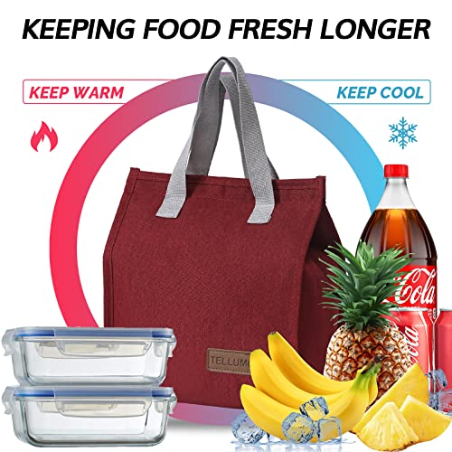 TELLUMO Lunch bag, Insulated Lunch Bag for Women Men Large Lunch Box Container Reusable Leakproof Tote for Office, Work, School, Beach or Travel (Red) - Image 2