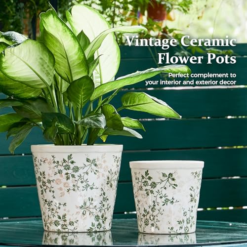 Teweiqi Ceramic Planter with Drainage Hole, Plastic Tray & Mesh, 6.7 Inch - Indoor/Outdoor Flower Pot for Orchids, Succulents, Green Floral Modern Farmhouse Décor for Home,Office and Garden, Ideal Gift - Image 4