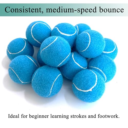 HPWFHPLF Tennis Balls, 12 Pack Advanced Training & Practice Tennis Balls for Beginners, Pet Dogs Playing Balls, Includes Mesh Carry Bag (Blue) - Image 4