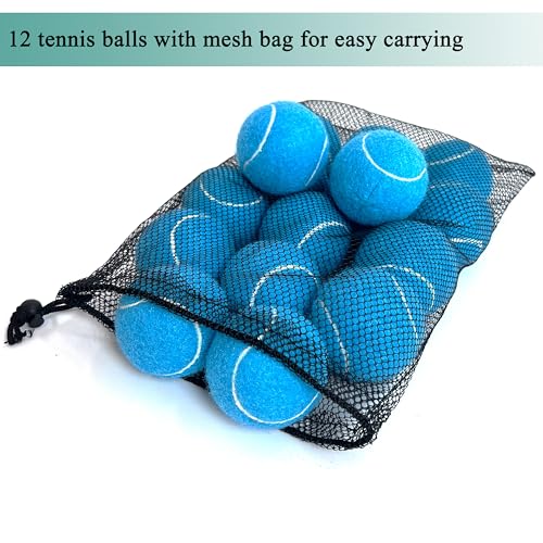 HPWFHPLF Tennis Balls, 12 Pack Advanced Training & Practice Tennis Balls for Beginners, Pet Dogs Playing Balls, Includes Mesh Carry Bag (Blue) - Image 5