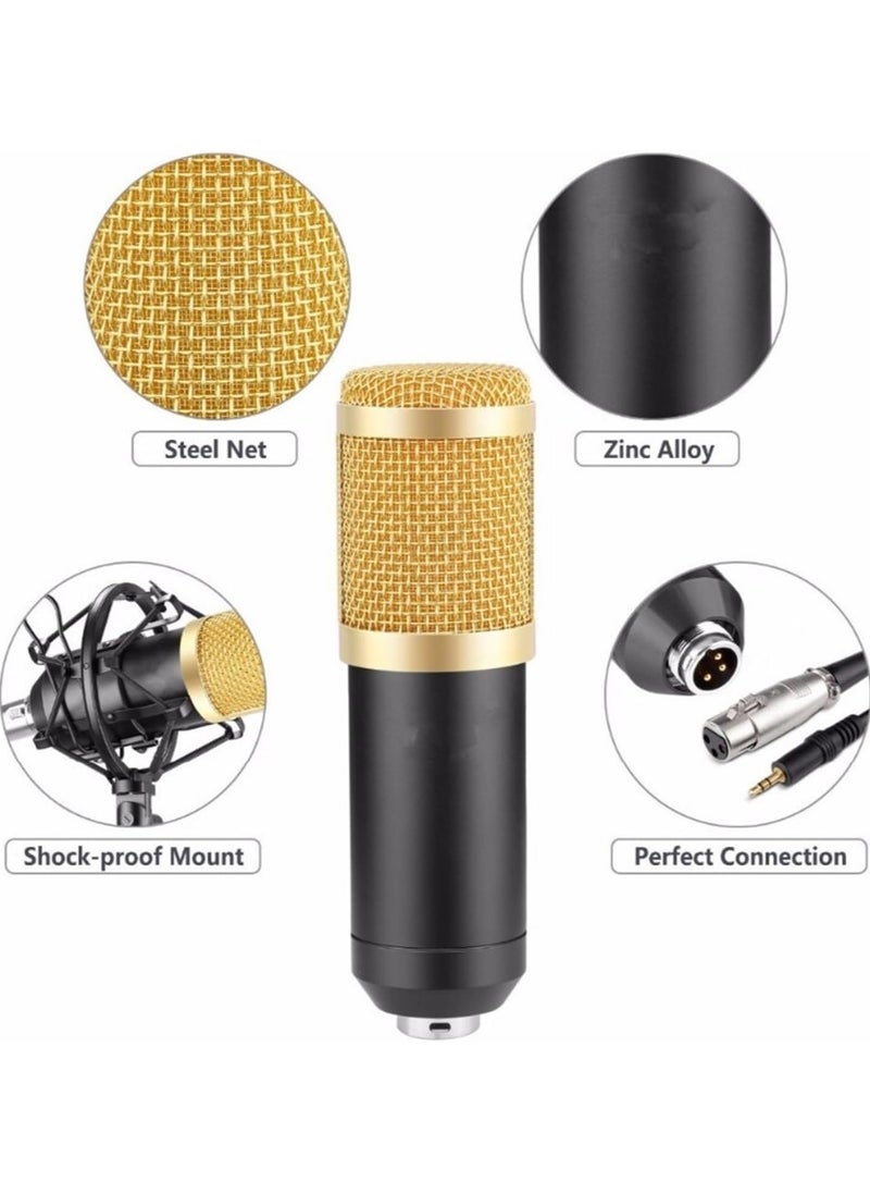 Generic V8 Condenser Microphone Bundle With BM-800 Live Sound Card,Adjustable Mic Suspension Scissor Arm, Metal Shock Mount and Double-Layer Pop Filter for Studio Recording & Broadcasting (Gold)  - Image 3